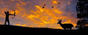 Silhouette Sunset Elk Hunting Wallpaper