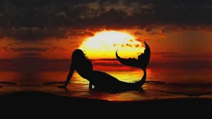 Silhouetted Beautiful Mermaid Wallpaper