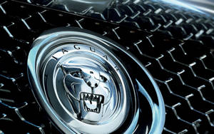 Silver Jaguar Car Character Emblem Wallpaper