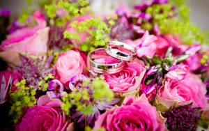 Silver Wedding Rings Pink Roses Wallpaper