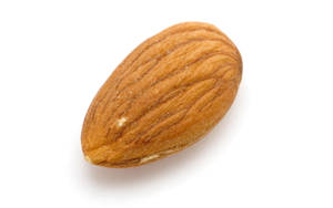 Simple Almond Nut Wallpaper