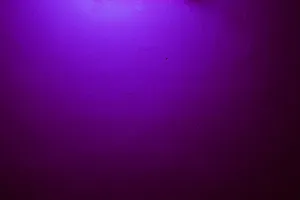 Simple And Elegant Dark Purple Desktop Wallpaper