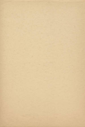 Simple And Plain Beige Wallpaper