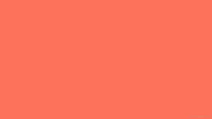 Simple Coral Color Hd Background Wallpaper