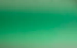 Simple Green Gradient Color Hd Wallpaper