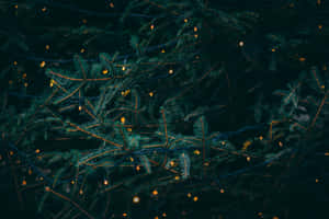 Simple Lights High Resolution Christmas Desktop Wallpaper