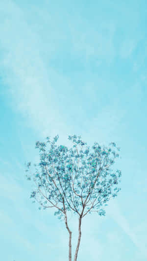 Single Tree Cyan Aesthetic Wallpaper