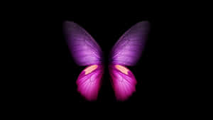 Singular Pink Glitter Butterfly Wallpaper