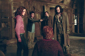 Sirius Black Peter Pettigrew Wallpaper