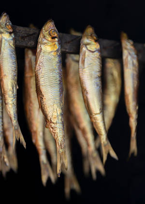 Skewered Dried Small Herrings Wallpaper