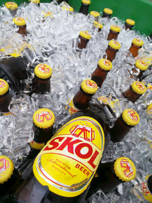 Skol Beer Bottles Chilledon Ice Wallpaper