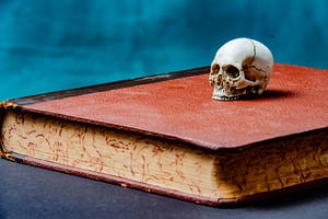 Skull On A Book Halloween Computer Wallpaper