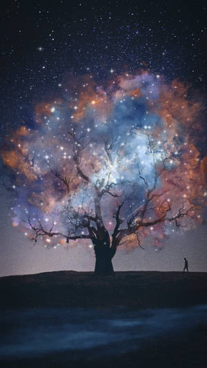 Sky Oak Tree Tumblr Iphone Wallpaper