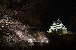 Sky-scraping Osaka Castle Wallpaper