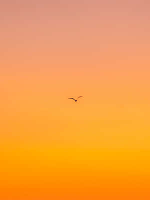 Sky View In Color Orange Iphone Wallpaper