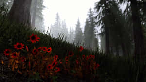 Skyrim Landscape Floral Grass Wallpaper