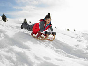 Sledding Down The Snowhill Wallpaper