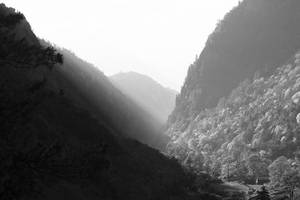 Sleek Black And Grey Iphone Elegance Wallpaper
