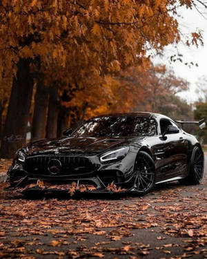 “sleek Black Mercedes Amg Gtr Showcasing Its Majestic Power Amidst The Natural Tranquility