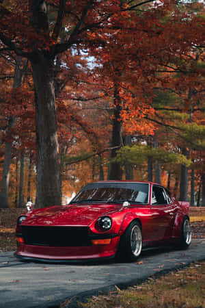 Sleek Red Datsun Classic On A Sunny Day Wallpaper