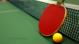 Sleek Table Tennis Ball And Racket Wallpaper