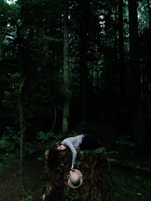 Sleep In Calm Rainforest Wallpaper