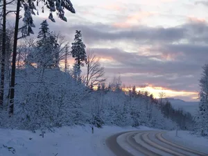 Sleet Covering A Roadside Forest Wallpaper