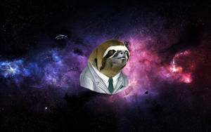 Sloth Wearing A Suit Wallpaper