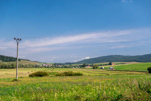 Slovakia Grassland With Flowers Wallpaper