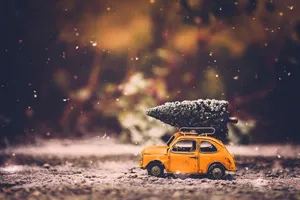 Small Cab Car With Tree Wallpaper