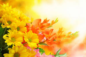 Small Orange And Yellow Flowers Wallpaper