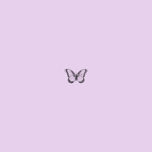Small Purple Butterfly Phone Background Wallpaper