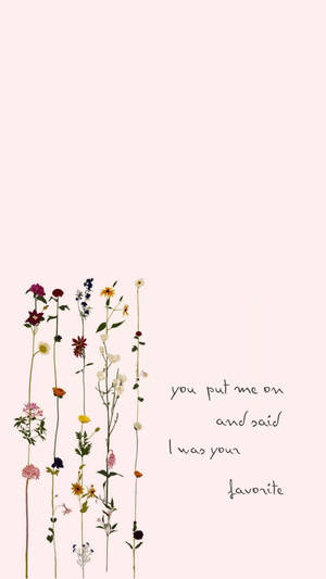 Small Quotes From Taylor Swift Songs Wallpaper