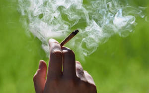 Smoking Weed Macro Shot Wallpaper
