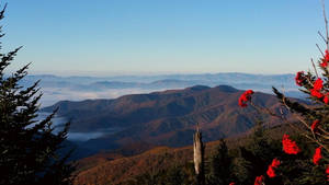 Smoky Mountains With Red Flowers Wallpaper