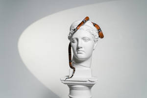 Snake On Head Sculpture Wallpaper