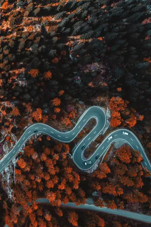 Snake Road Mobile Wallpaper