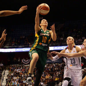 Snappy Sue Bird Wallpaper