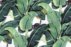 Snapshot Of Beverly Hills Hotel Wall Wallpaper