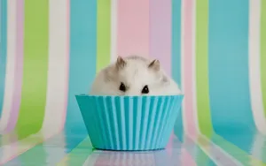 Sneaky Hamster Meme Wallpaper