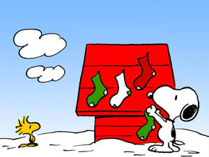 Snoopy Christmas Socks Wallpaper