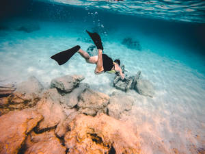 Snorkeling Ancient Artifacts Wallpaper