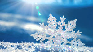 Snow Aesthetic Crystal Wallpaper