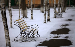 Snow Covering Bench Wallpaper