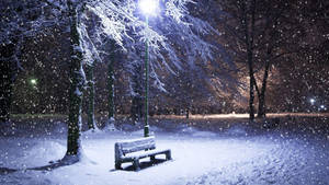 Snow Desktop Winter Night In A Park Wallpaper