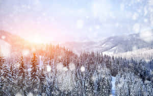 Snowfall And Sunset View Wallpaper