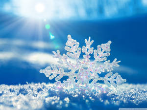 Snowflake Winter Desktop Wallpaper