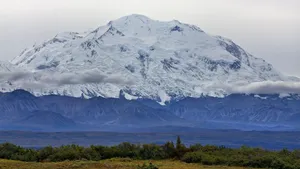Snowy Denali Mountaintop Green Shrubbery Wallpaper