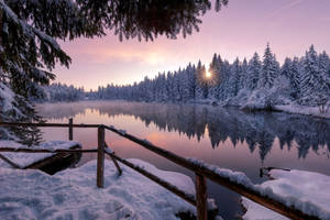 Snowy Forest Lake Wallpaper