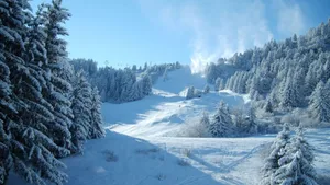 Snowy Forested Hd Mountain Path Wallpaper